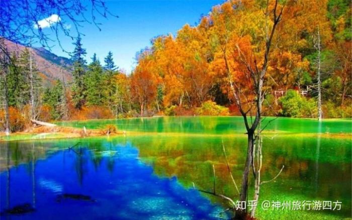 泰国 私人导游_私人导游_杭州私人美女导游私人当地向导