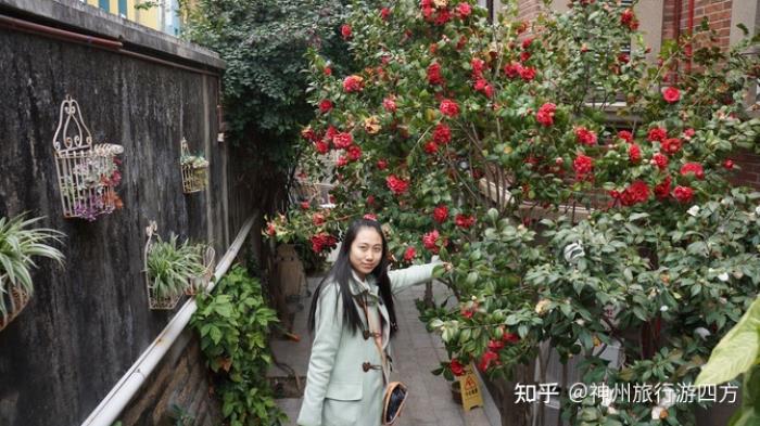 厦门个人导游价格与费用到福建厦门旅游,先了解厦门自驾游/自助游/自由行旅游攻略 厦门个人导游价格与费用到福建厦门旅游,先了解厦门自驾游/自助游/自由行旅游攻略