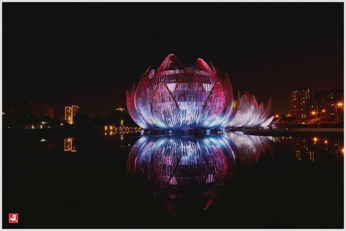 女商务伴游一般干什么_长沙商务伴游_商务伴游 男