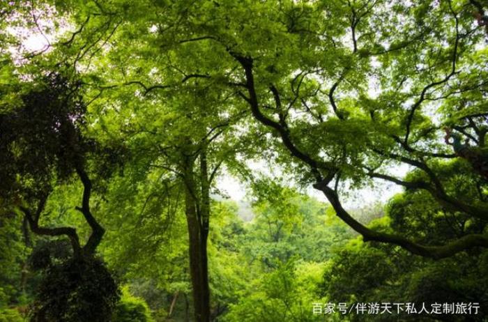 哪里招商务伴游男_广州商务伴游_长沙商务伴游