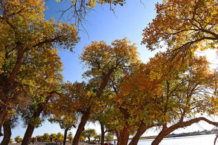 长春高端商务私人伴游预约【曹南莲】(长春本地私人陪游应聘)