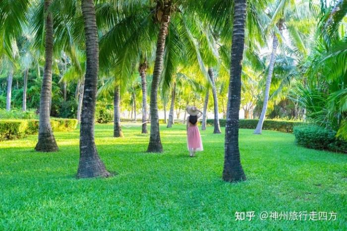 海南三亚当地知名靠谱导游,自由行旅游的, 海南三亚当地知名靠谱导游,自由行旅游的,