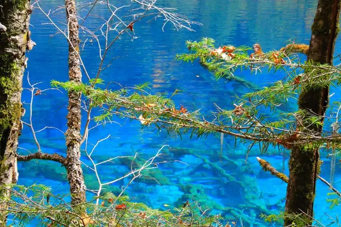 四川成都最佳伴游线路图，四川九寨沟私人伴游详细攻略