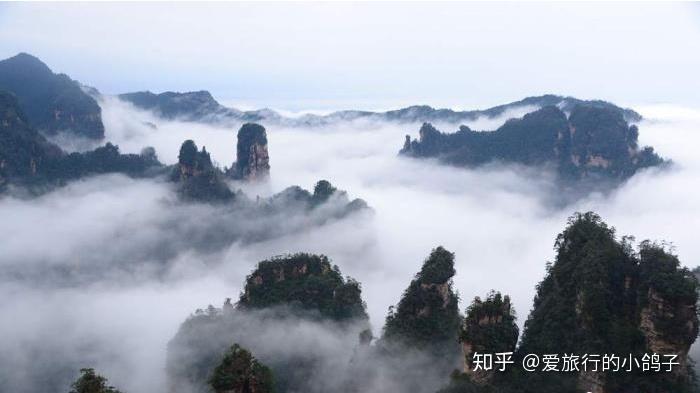 张家界请一个导游,不强制自费景点,不进购物店 张家界请一个导游,不强制自费景点,不进购物店