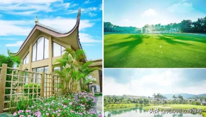 深圳商务伴游来泡室外无限次氟温泉释放广州佛山中山东莞惠州深圳周边游