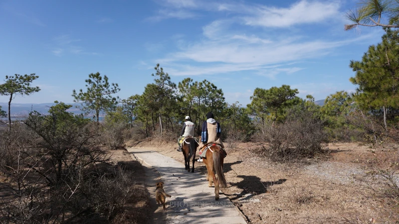 北京私人伴游_私人伴游吧_私人伴游