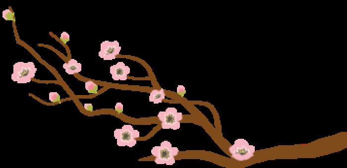 中国小伙花100元找私人导游，回国后就后悔了