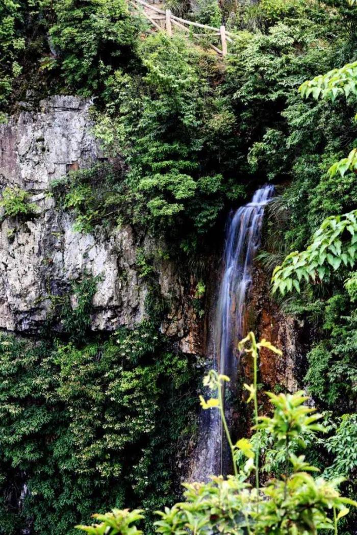 跟随伴游网体验中国首个养生胜地(成都早餐培训是真的吗)