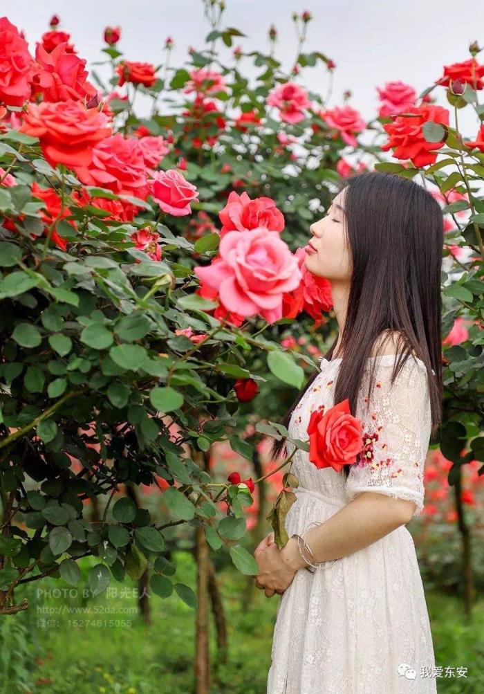 包罗约中国伴游开启浪漫之旅吧的词条