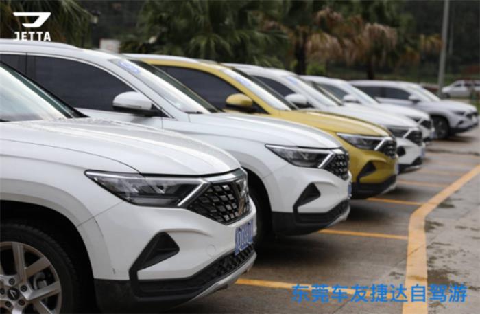 驾游(川藏线自驾游)