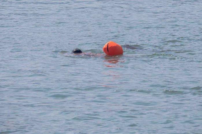 关于宜昌伴游雇用v伈2259737的信息 关于宜昌伴游雇用v伈2259737的信息