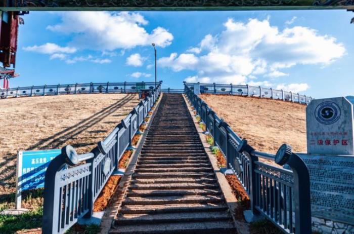 伴游中国价格表(伴游的价格表)