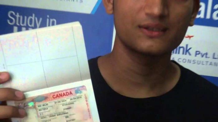 美国留学期间兼职做口译伴游的简单介绍