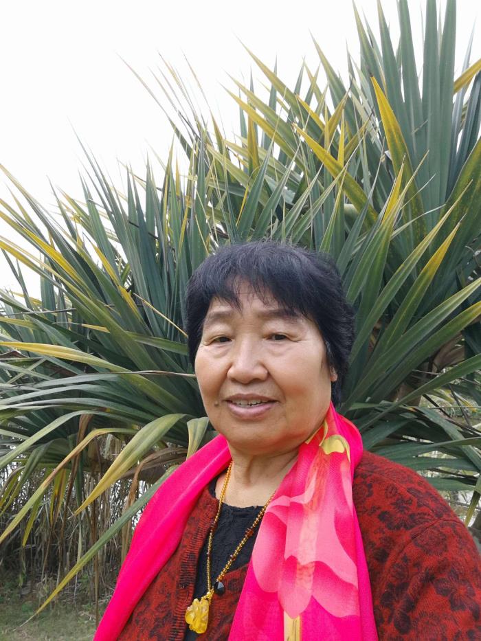 白叟带老伴游半个中国(白叟外出旅游)