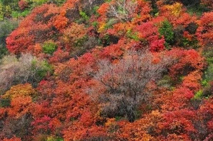 太原秋季有哪些打卡路线值得推荐 太原秋季有哪些打卡路线值得推荐