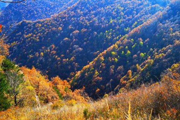 太原秋季有哪些打卡路线值得推荐 太原秋季有哪些打卡路线值得推荐