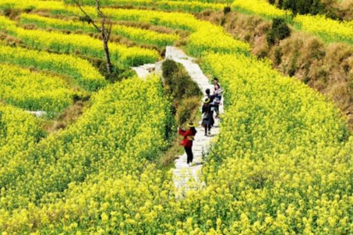 婺源自驾两日游攻略