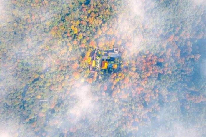 岳麓山滑道和索道介绍 游玩攻略 岳麓山滑道和索道介绍 游玩攻略