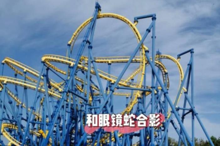 大连发现王国项目攻略 大连发现王国项目攻略