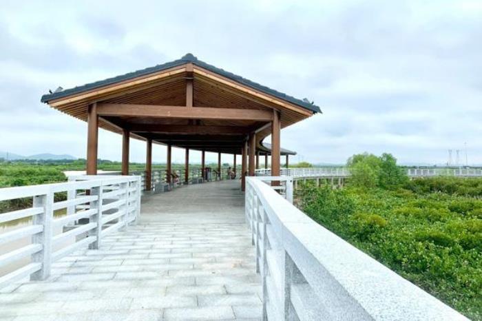 阳江游玩路线攻略推荐