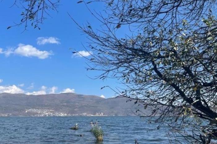 大理洱海一日游的最佳线路推荐