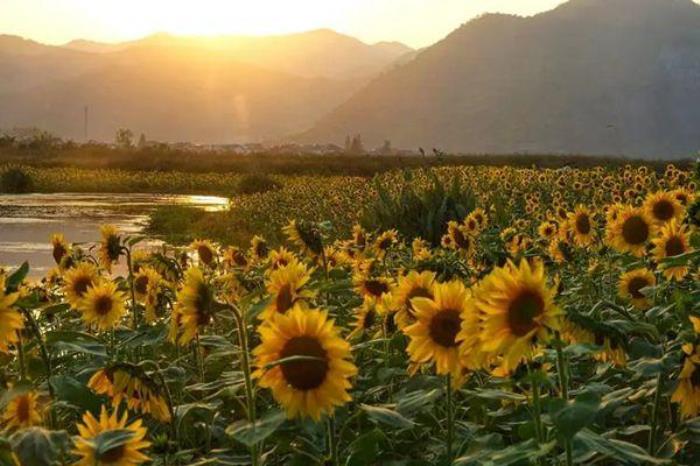 2022杭州铜鉴湖旅游攻略