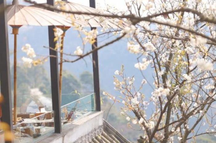 都江堰春天附近哪里好玩?这些免费踏青春游的地方值得打卡