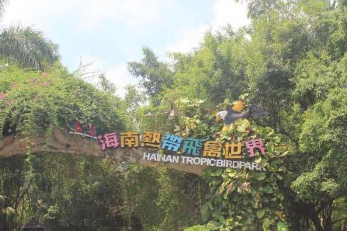 海南热带飞禽世界门票优惠政策 海南热带飞禽世界门票优惠政策