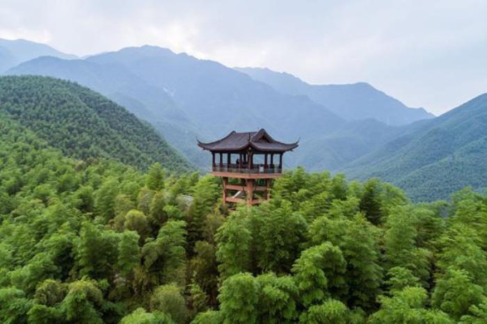 2024安吉大竹海景区门票优惠政策最新 2024安吉大竹海景区门票优惠政策最新