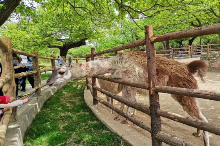 西安秦岭野生动物园一日游攻略 附游玩路线及游览攻略