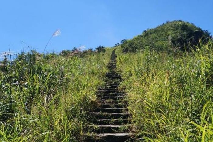 铜鼓峰风景区门票优惠政策 铜鼓峰风景区门票优惠政策