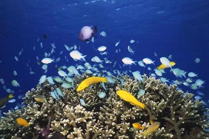 连岛海底世界门票优惠政策 连岛海底世界门票优惠政策