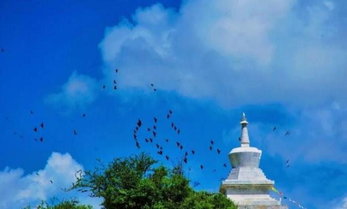 松赞林寺要怎么玩?这份最全的旅游攻略请收好 松赞林寺要怎么玩?这份最全的旅游攻略请收好