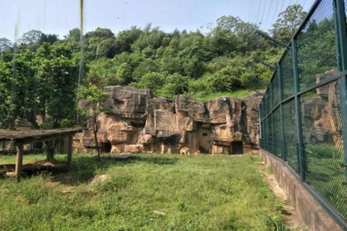 长沙生态动物园游玩攻略 一日游最佳路线 长沙生态动物园游玩攻略 一日游最佳路线