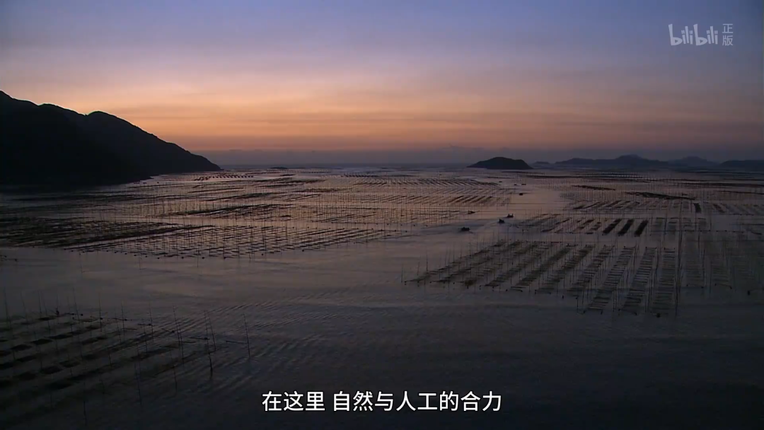 这小城靠“摆拍天堂”火出国外 我却更爱真实的它