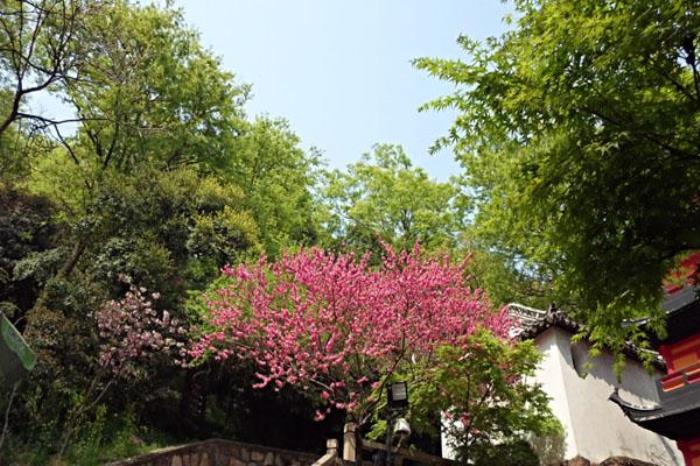 南通狼山游玩攻略 一日游攻略 南通狼山游玩攻略 一日游攻略