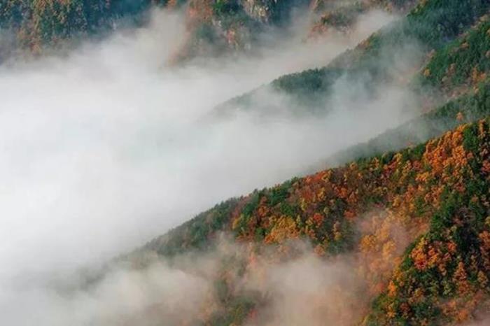 六安一日游路线有哪些?怎么安排合理? 六安一日游路线有哪些?怎么安排合理?