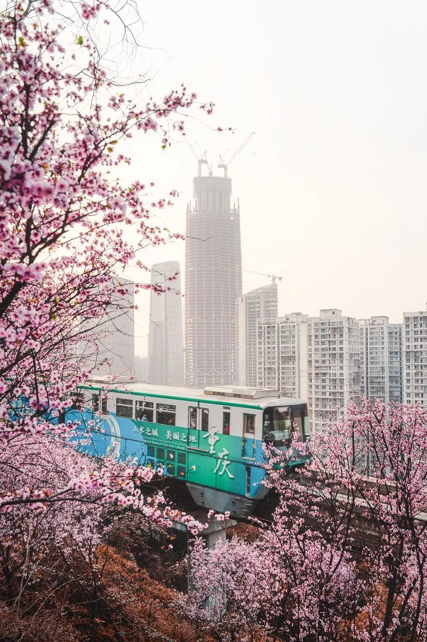 “开往春天的列车”美上央视! 比成都秀美 这座老城你去过吗？