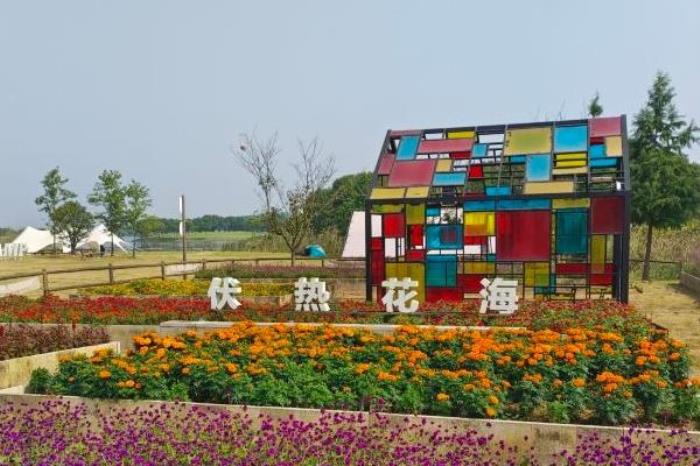 伏热花海门票优惠政策 伏热花海门票优惠政策