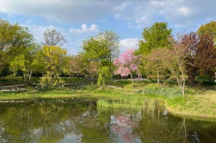 三叶梦华苑门票优惠政策 三叶梦华苑门票优惠政策