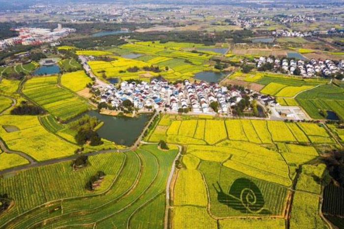 南京高淳国际慢城旅游度假区景区怎么游览