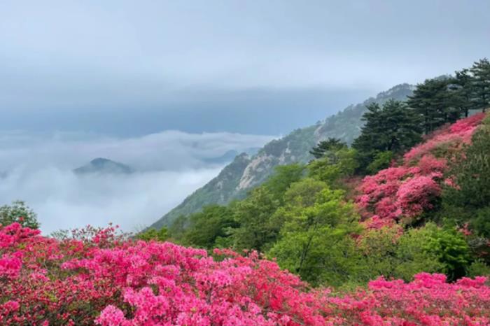 2024麻城龟峰山门票优惠政策最新 2024麻城龟峰山门票优惠政策最新