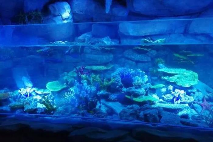 2024溱湖海昌海洋馆门票优惠政策 2024溱湖海昌海洋馆门票优惠政策