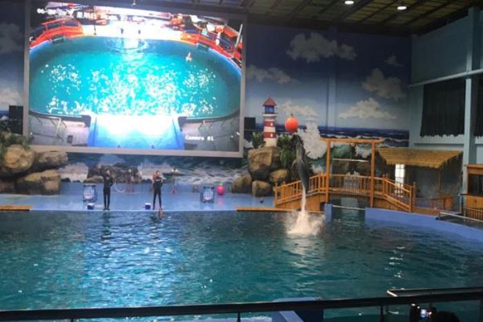 2024溱湖海昌海洋馆门票优惠政策 2024溱湖海昌海洋馆门票优惠政策