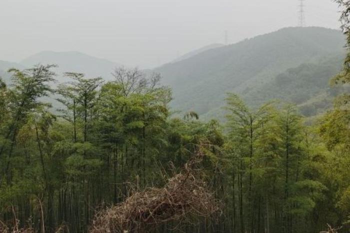 东明山森林公园免票政策 东明山森林公园免票政策