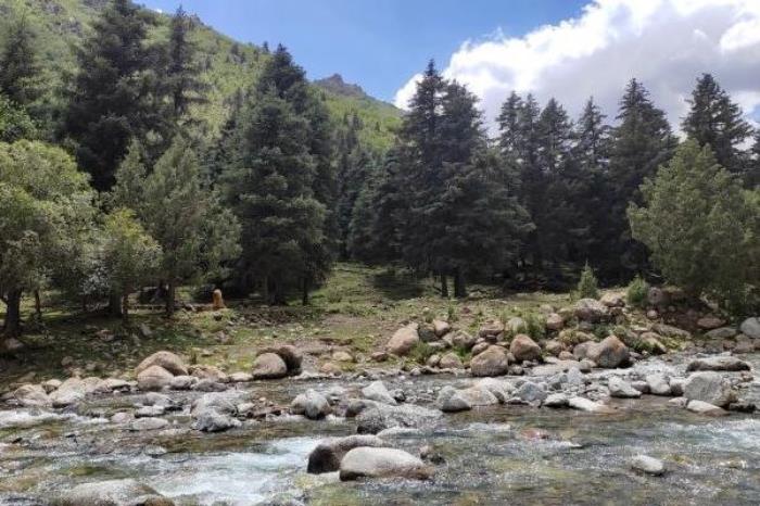 冰沟河一日游攻略2024 冰沟河一日游攻略2024