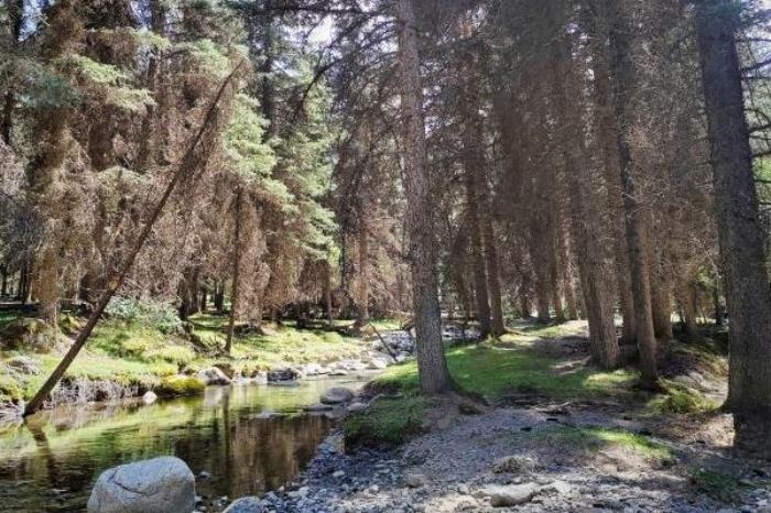 冰沟河一日游攻略2024 冰沟河一日游攻略2024