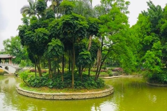 柳州龙潭公园开放时间2022 柳州龙潭公园开放时间2022