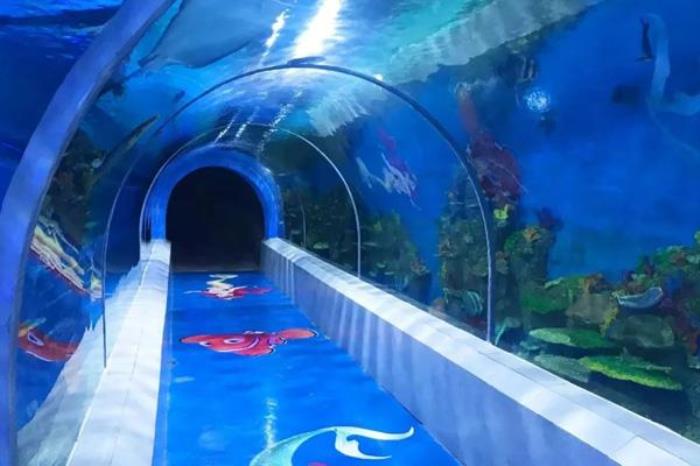 2024绵阳海洋世界门票优惠政策 2024绵阳海洋世界门票优惠政策
