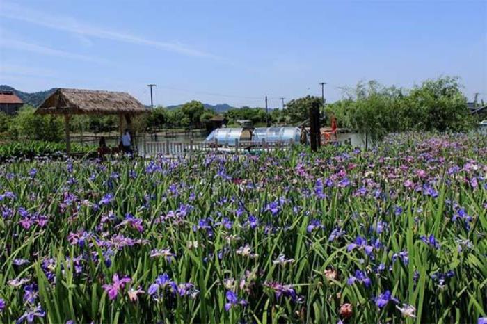 2024白塔湖国家湿地公园门票优惠政策最新 2024白塔湖国家湿地公园门票优惠政策最新